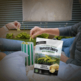 thumbnail image 5 of Harvest Snaps Green Pea Snack Crisp, Sharp, and Creamy White Cheddar Baked and Crunchy Veggie Snacks with Plant Protein and Fiber for Kids Adult Lunchbox Halloween Trick or Treats 2oz Pack of 2, 5 of 7