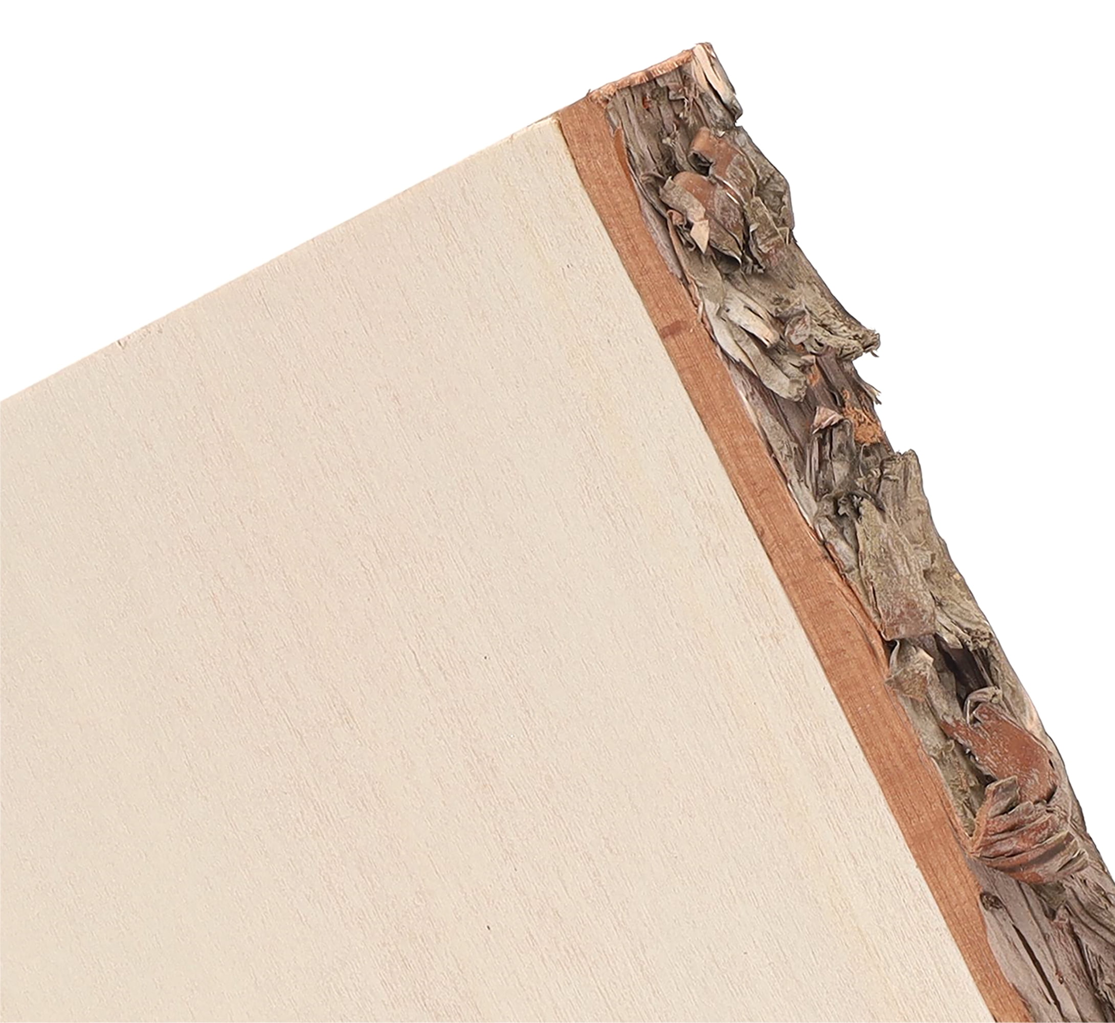 (2 pack) Hampton Art Basswood Rectangle W/Bark, Wood Plank, Live Edge Wood Slab, Walnut Wood, Planks, Wooden Plank, Planks For Shelves, Planks For Crafting, Slabs Crafts, 9"X 10.25"