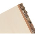 thumbnail image 3 of (2 pack) Hampton Art Craft Brown Bark Edge Basswood Rectangle, 9" X 11", 3 of 6