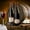 Fine Vintage Wine, variant on Elephant Stock Old Wine Cellar Wall Art - Architecture Canvas Canvas - 39" x 26"