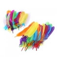 thumbnail image 3 of DIY Materials, kindergarten Decorations, & Handmade Art Supplies 100 Multicolored Feathers for Kids' Craft Fun, 3 of 8