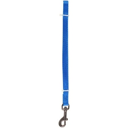 PetWear Dog Leash, Blue, Small
