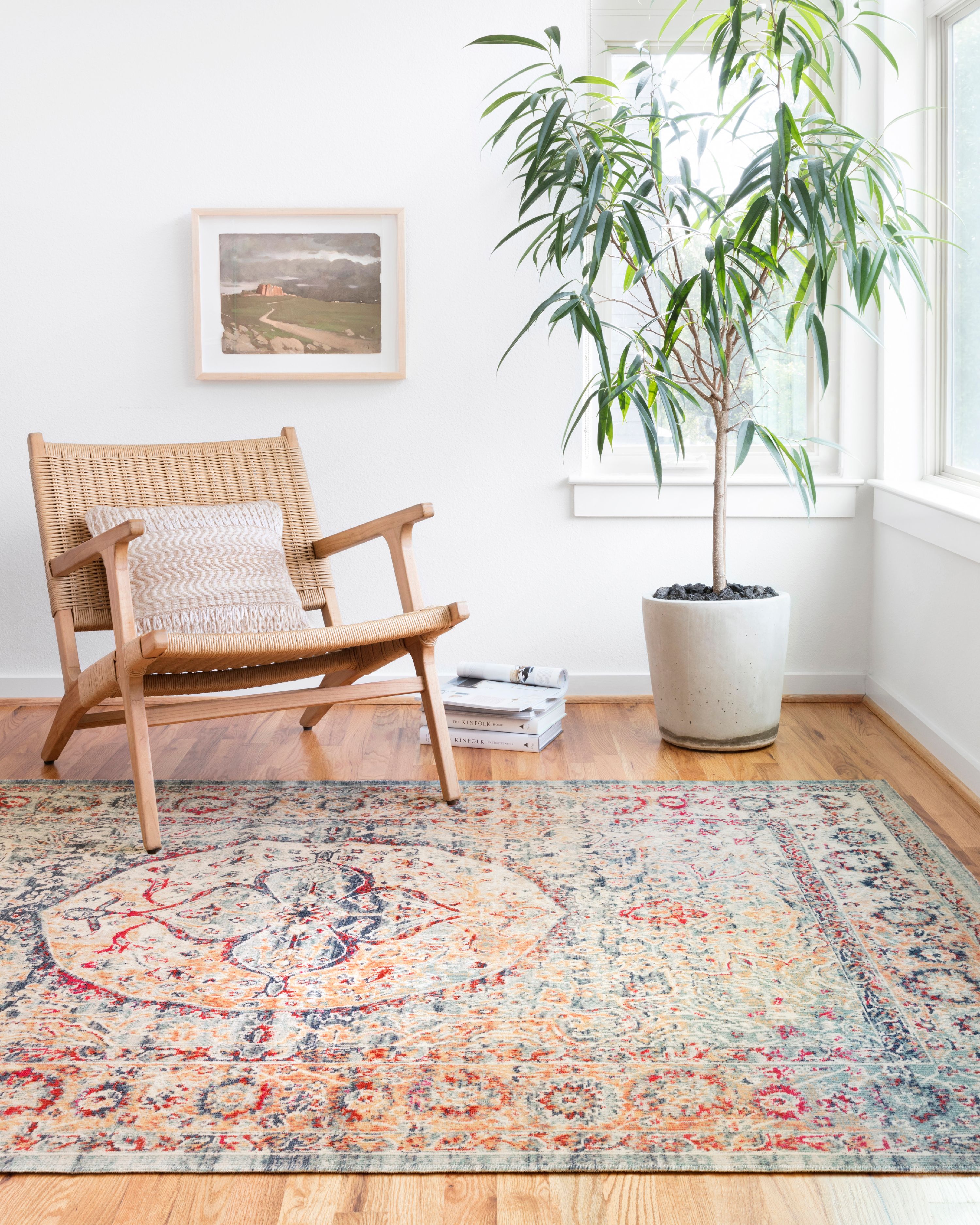 Loloi Nour Oriental Blue / Multi Area Rug