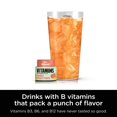 thumbnail image 4 of Ninja Thirsti Flavored Liquid Water Drops, VITAMINS With Vitamins B3, B6, B12, Mango Peach Punch, 3 Pack, 0 Calories, 0 Sugar, WCFOPMGAM, 4 of 8