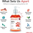 thumbnail image 5 of Brilliant Salmon Oil for Dogs and Cats, All-Natural Norwegian Fish Oil Omega 3 Supplements for Pets, 16.9 fl oz, 5 of 8