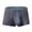 Gray, variant on Bixock Boxer Briefs for Men,Men's Underwear Ice Silk Solid Color Pouch Enhanced Breathable Stretch Briefs