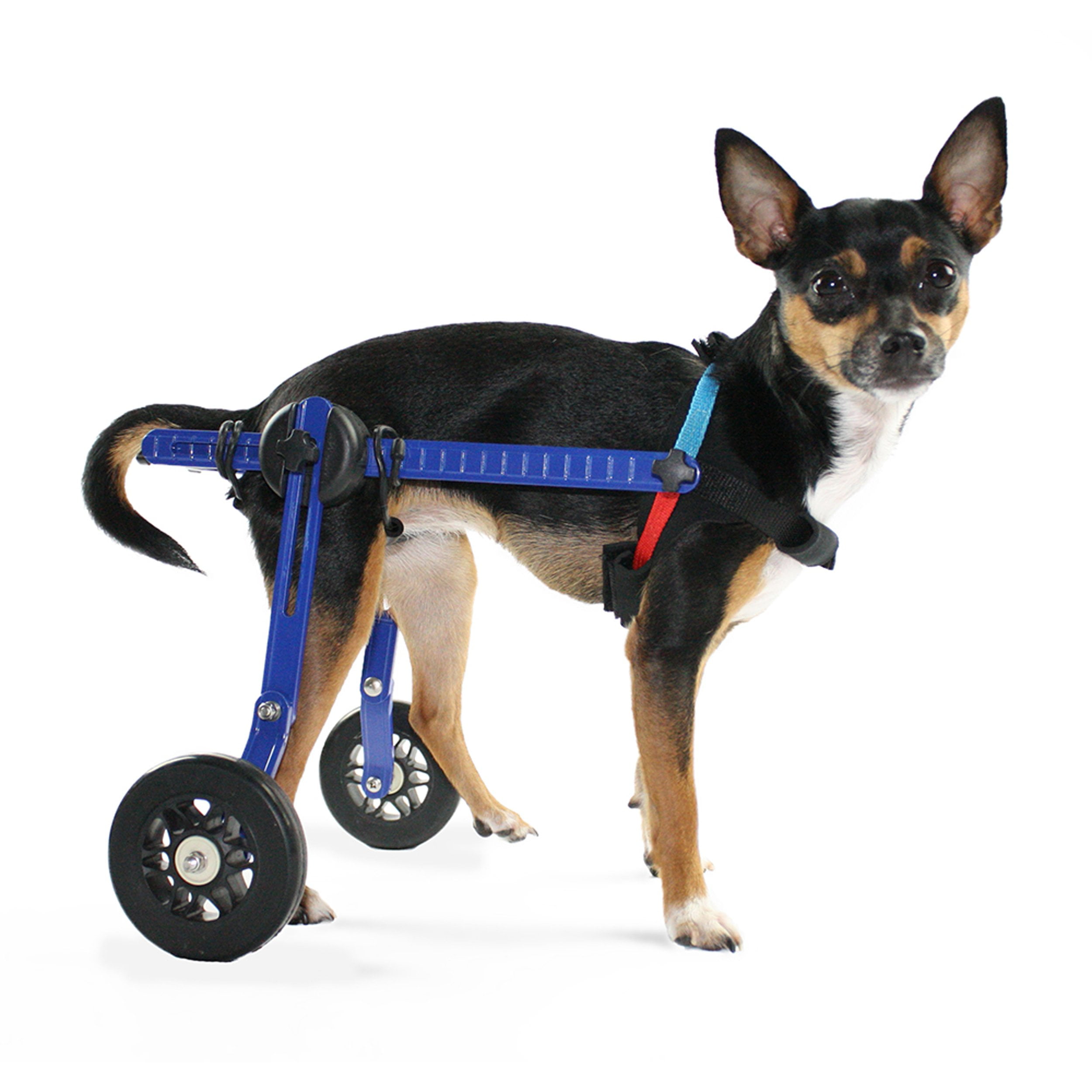 Walkin' Wheels Dog Wheelchair XS for Mini/Toy Breeds 210 Pounds