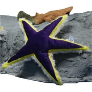 Hansa 14.5 Starfish