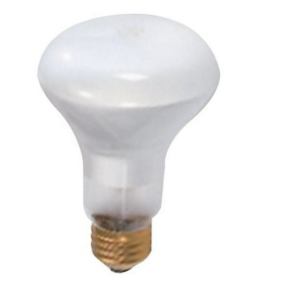 Satco S2810 130V Medium Base 30-Watt R20 Light Bulb, Frosted,QTY 12