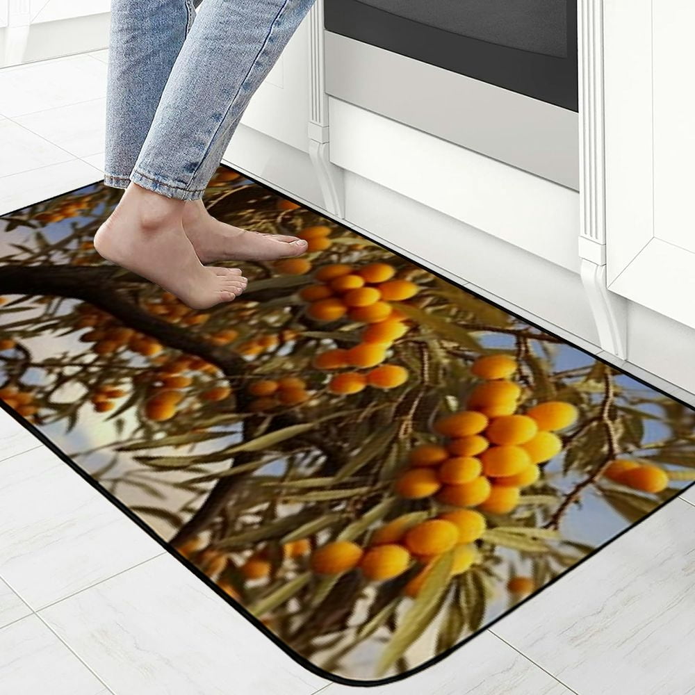 Heduofu Decorative Door Mat, Door Mat with Non-Slip Rubber Backing, Easy Cleaning, Traps Dirt, Rug for Entry, Patio, Garage 19.68*47.24 in