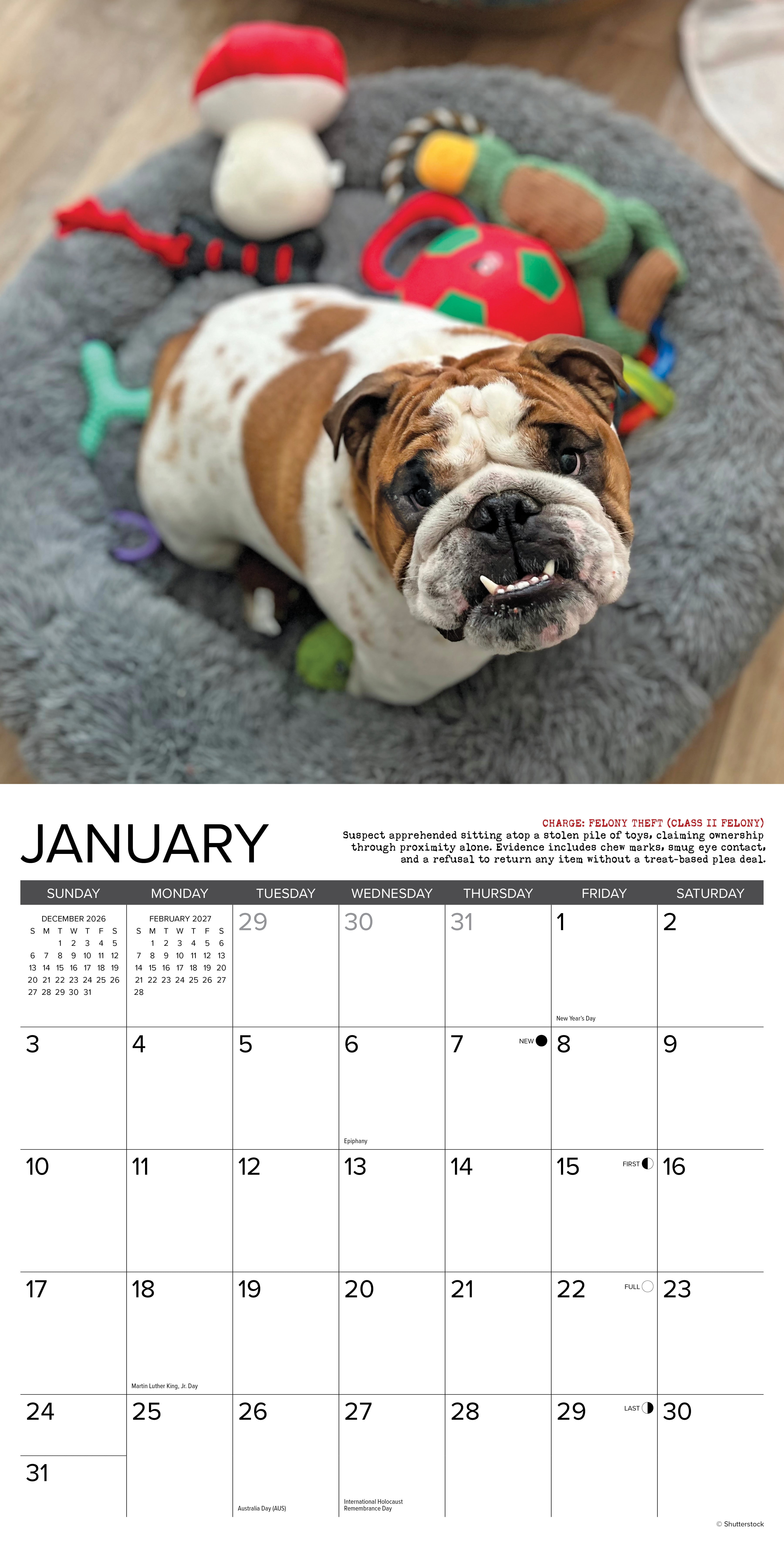 Willow Creek Press, Bulldog Bad Boys 2027 Wall Calendar