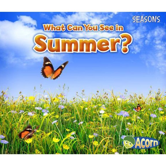 Pre-Owned What Can You See in Summer? (Paperback) 1484603559 9781484603550