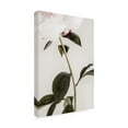 thumbnail image 4 of Pictufy Studio III 'Peony 9' Canvas Art - 22 x 32 Inches, 4 of 4