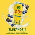 thumbnail image 3 of Yerba Madre Organic Yerba Mate Bluephoria, 15.5 fl oz Can, 3 of 6