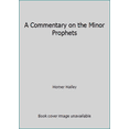 thumbnail image 1 of Pre-Owned A Commentary on the Minor Prophets (Hardcover) 0801040493 9780801040498, 1 of 1