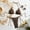 Coffee, variant on Women Wave Textured Lace-Up Bikini Set, Halter Tie Side String High Cut Two Piece Contrast Trim Beach Swimsuit