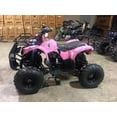 thumbnail image 3 of Tao Motor ATA 125D 125cc ATV with Electric Start and Reverse, 3 of 13
