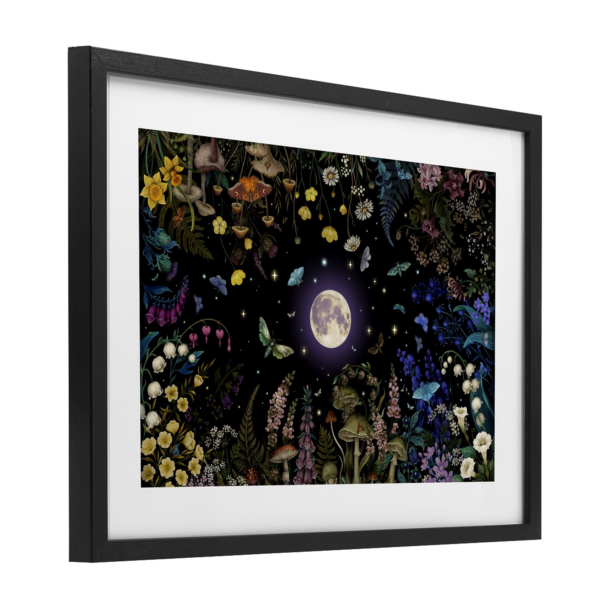 Stupell Industries Night Garden with Moth Black Framed Print Under Glass, design by Episodic Drawings