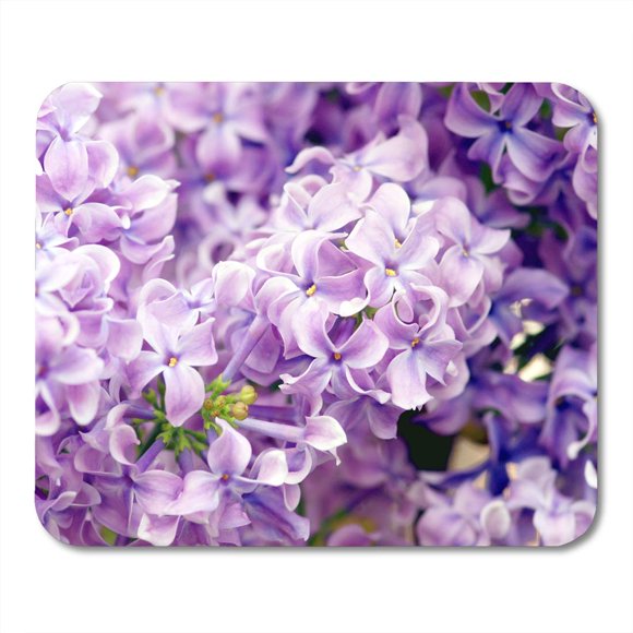 POGLIP Colorful Bloom Blooming Spring Flowers Green Blossom Field Grass Mousepad Mouse Pad Mouse Mat 9x10 inch