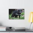 thumbnail image 3 of Majestic Tasmanian Devil Art Majestic Tasmanian Devil Print Animal Wall Art Wildlife Canvas Prints Wall Art Ready to Hang Unframed, 3 of 18