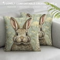 thumbnail image 3 of BCIIG Rabbit Daisies Beatrix Potter Graphic Decorative Cushion Throw Pillow Cover for Home Decor - Spring Pillow Case 1PC 20x20in, 3 of 5