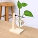 thumbnail image 4 of Bombilla de de de escritorio jarrón forma de corazón bombilla de jarrones w/sólido soporte de madera para plantas hidroponicas Baoblaze Jarrón de escritorio Clear Planter, 4 of 8