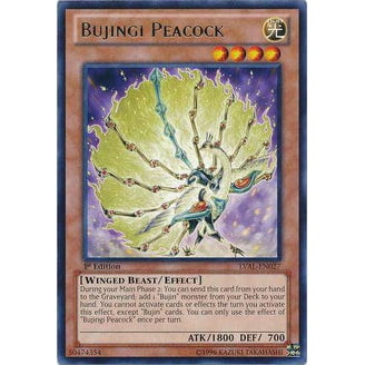 neo spacian yugioh cards Neo