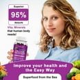 thumbnail image 5 of (2 Pack)Calcium Magnesium Zinc Gummies, Supplement for Bone, Muscles, Mood & Sleep Support,120 Count, 5 of 6