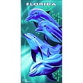 thumbnail image 1 of Beach Towel Oversize Bath Beach Pool Towels Cotton Velour Size 30x60, FL Happy Dolphins, Size: One Size, 1 of 1