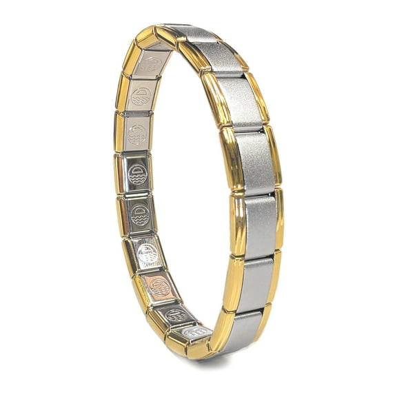 Satin Face Gold Trim, 9mm Type Italian Modular Charm Bracelet for Women or Men - Stainless Steel - 18 Std. Link Size - SB-007
