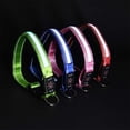 thumbnail image 3 of Collar de perro luminoso ajustable impermeable recargable por USB luz de collar de perro luminosa MFZFUKR CPB-US-YY170-3, 3 of 5