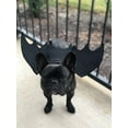 thumbnail image 6 of Halloween Cat Bat Wings Pet Costume for Halloween Party Decorations, Cute Puppy Dog and Cat Collar Bat Wings with Pumpkin Bells Cosplay Party(Medium), 6 of 9