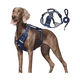 thumbnail image 2 of Pechera Arnés De Seguridad Para Perro Malubero AZUL MARINO talla M, 2 of 5
