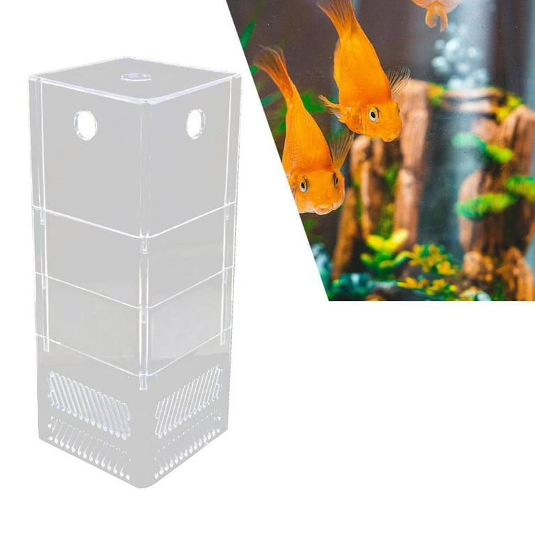 corner box filter fish tank AquaZen Nano Aquatic Arts For 30 Gal Tanks Corner Filter