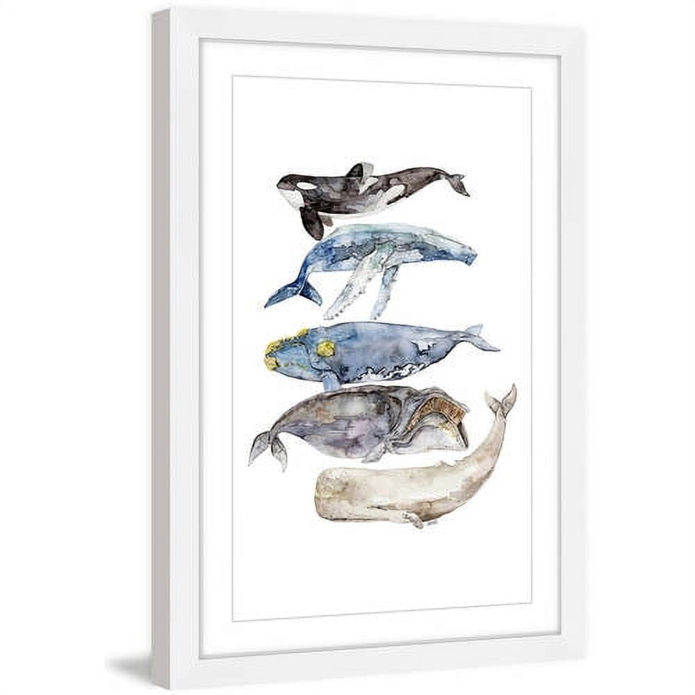 Marmont Hill "Whale Species" by Rachel Byler Framed Painting Art Print