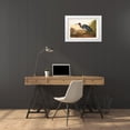 thumbnail image 3 of Audubon, John James 14x11 White Modern Wood Framed Museum Art Print Titled - Pl 307 Blue Crane or Heron, 3 of 4