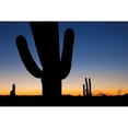 thumbnail image 3 of Malvin, Larry 24x17 Black Modern Framed Museum Art Print Titled - Clear Saguaro Sunset I, 3 of 5