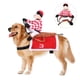 thumbnail image 5 of Disfraz de carrera de caballos para mascotas, Jockey para perros de Halloween, ropa divertida para gatos para fiesta de Halloween, Cosplay (rojo), 5 of 6