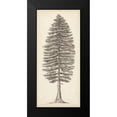 thumbnail image 2 of Wang, Melissa 13x24 Black Modern Framed Museum Art Print Titled - Pacific Northwest Tree Sketch II, 2 of 5