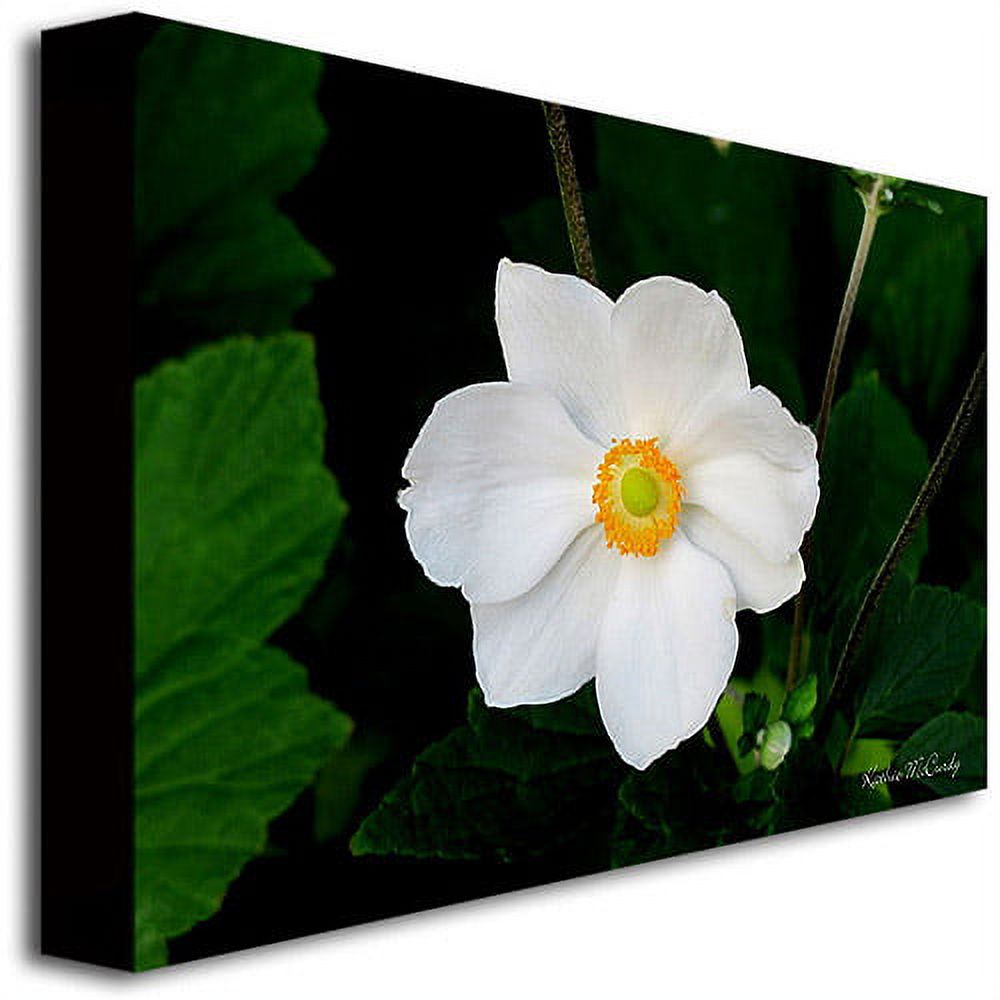 Trademark Art "Big White Flower" Canvas Wall Art by Kathie McCurdy