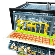 Quail Breeding Cage Indoor: 2 Layer Stackable Quail Coop, Easy Clean, Rust-Free, Easy Egg Collection (2024 Upgrades: Longer Waste Trays, Removable Middle Walls, Traditional Flooring) Cimuka
