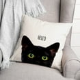 thumbnail image 3 of Creative Products Curious Hello Black Cat 16 x 16 Spun Poly Pillow, 3 of 3