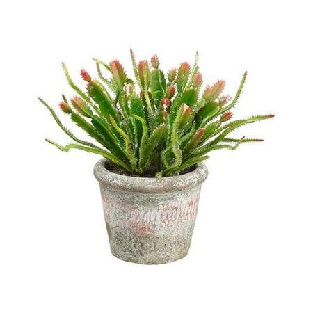 9" Decorative Artificial Green and Burgundy Spring Cactus ...