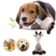 thumbnail image 2 of Juguete de peluche para perros Juguete masticable de peluche resistente con chirriador Juguete de peluche bonito para perros pequeños y medianos, 2 of 8