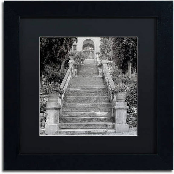 Trademark Fine Art "Liguria II" Canvas Art by Alan Blaustein, Black Matte, Black Frame