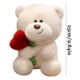 thumbnail image 5 of Rose Bear Valentine's Day Confession Doll Toy For Children And Rose Bundle, 5 of 5