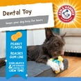 thumbnail image 2 of Arm & Hammer Nubbies TriOBone Durable Dental Dog Chew Toy, 2 of 11