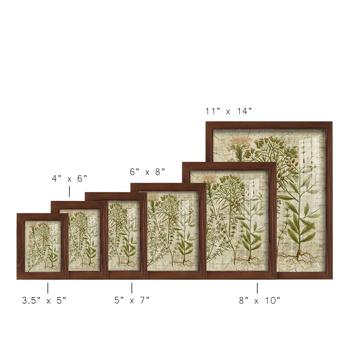 Garden Verses I -Framed Print w/glass-Chestnut