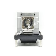 Vivitek DW6851 Projector Lamp with Module