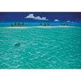thumbnail image 3 of Mackin, Dan 14x11 Black Modern Framed Museum Art Print Titled - Turtle Crossing, 3 of 5